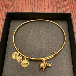 ELEPHANT ALEX AND ANI